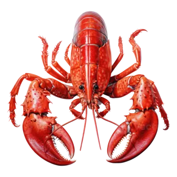 a large red lobster with its mouth open