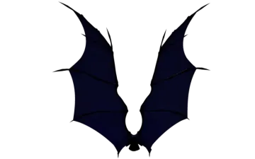 a pair of bats on a white background