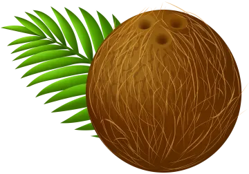 a coconut with green leaves on it