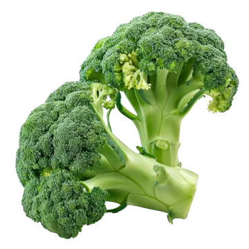 a piece of broccote