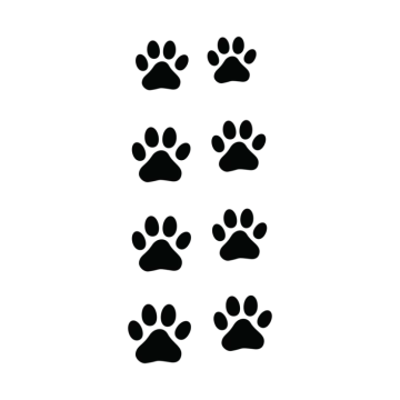 a black and white image of paw prints