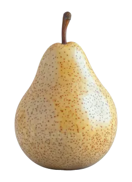 a pear on a white background