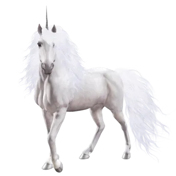 a white unicorn standing on its hinds