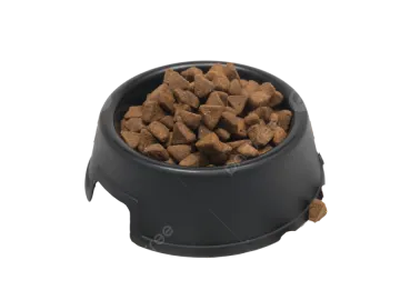 a bowl full of dog food on a white background