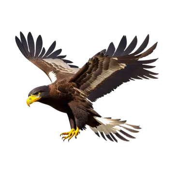 an eagle flying in the air with its wings spread