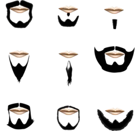 a set of different types of beards