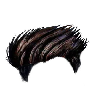 a black and white drawing of a man's hair