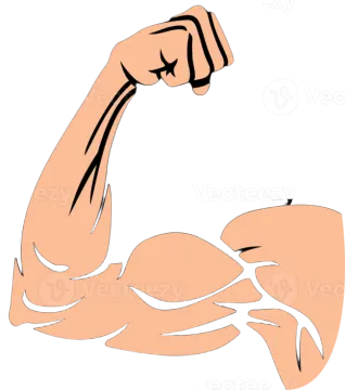 a cartoon arm showing the biceps muscles