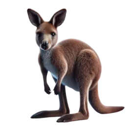 a small kangaroo standing on its hinds