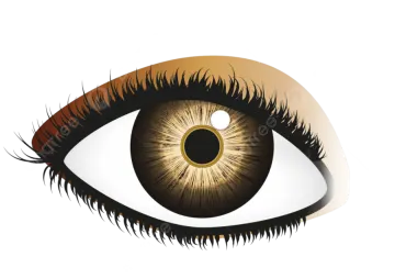 an illustration of a human eye