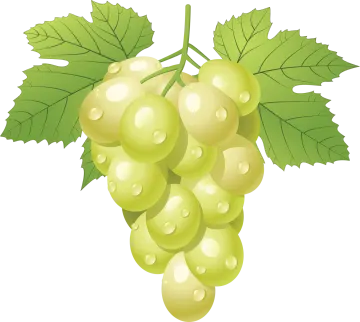 a bunch of grapes with green leaves