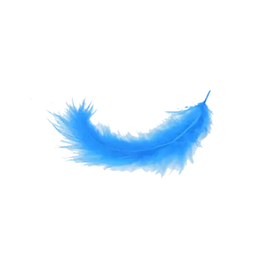 a blue feather on a white background