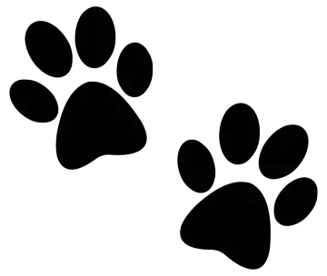 two black paws on a white background