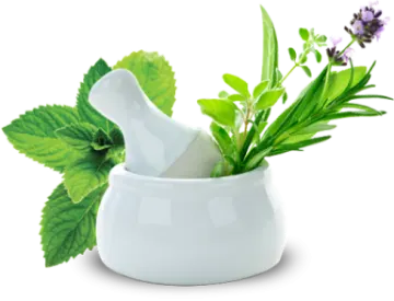 a mortar with herbs in it