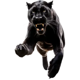 a black panther running with its mouth open