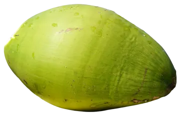 a green coconut on a white background