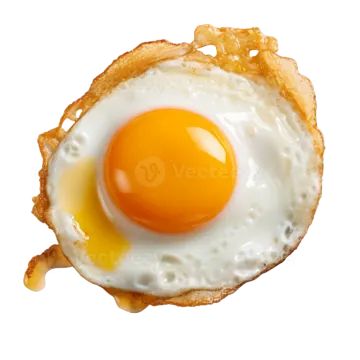 a fried egg on top of toasted bread