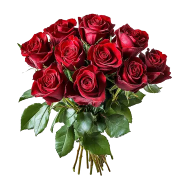 a bouquet of red roses on a white background