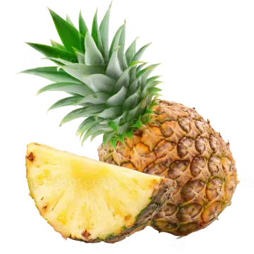 a pine fruit with a slice cut in half