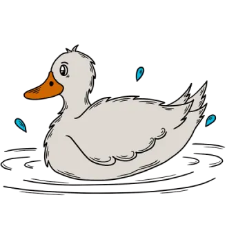 a duck swimming in the water