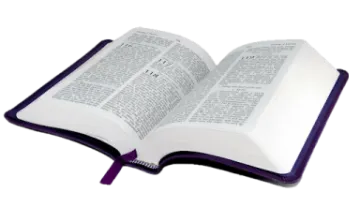 an open bible on a white background