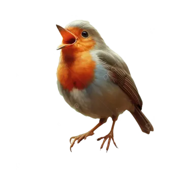 a bird that is standing up with its beak open