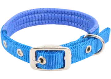 an image of a blue dog collar