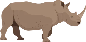 an illustration of a rhino