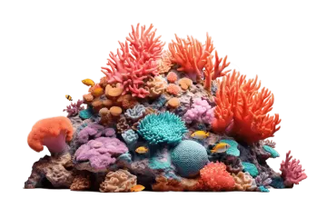a pile of corals on a white background