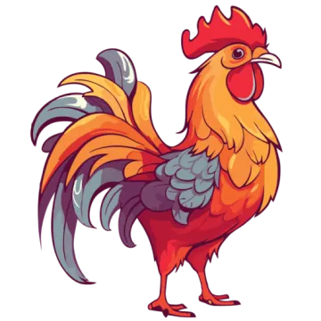 a rooster with orange and gray feathers