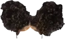 a pair of black curly hair on a white background