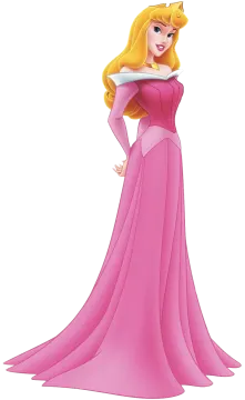 the princess in her pink gown