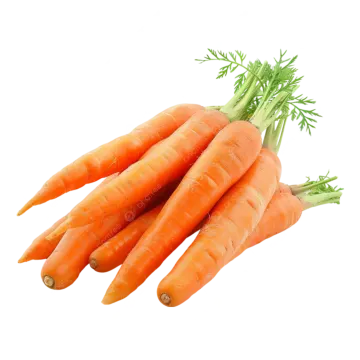 a bunch of carrots on a white background