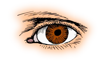 a drawing of an eye