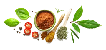 herbs and spices on a white background