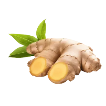 a close up of a ginger root with green leaves
