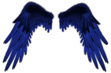 two blue wings on a white background