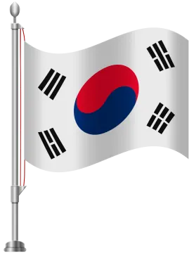 the flag of south korea