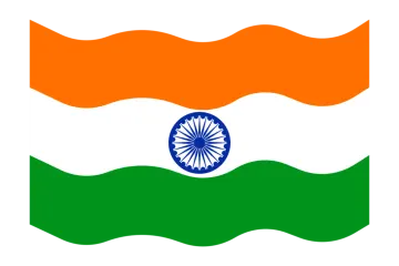 the indian flag
