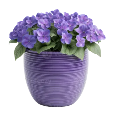 a purple pot with purple flowers in it