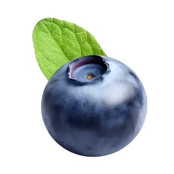 a blueberry with a green leaf on top