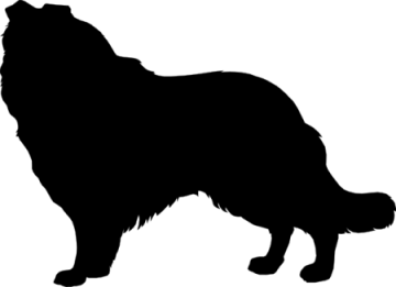 a black and white silhouette of a dog