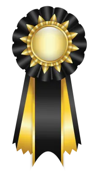 a black and gold ribbon with a gold medal