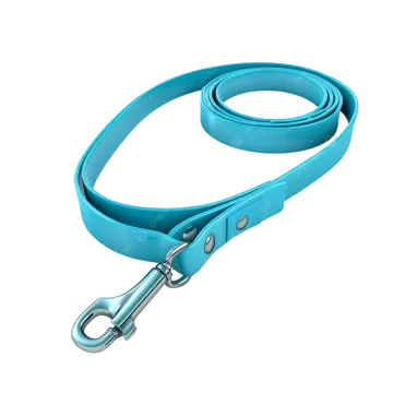 a blue leash on a white background