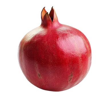 a red pome on a white background