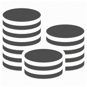 a stack of coins icon