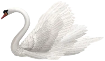 a white swan with its wings spread out