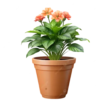 a potted plant with orange flowers in it