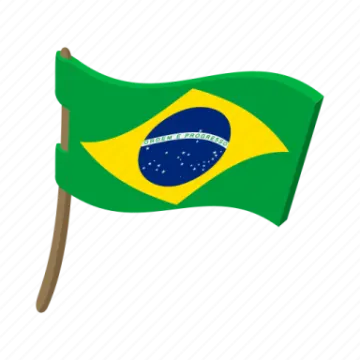 a brazil flag with a wooden stick