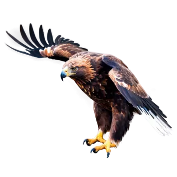 a large bird flying through the air
